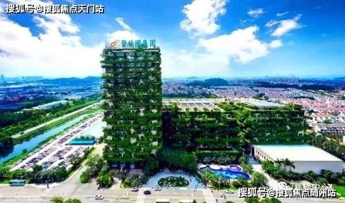 湄池碧桂园最新房价爆料,涨幅惊人,投资潜力无限!”