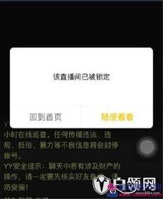 力哥最新爆料网站视频,最新爆料网站视频深度解析