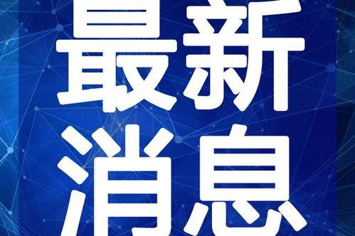 花姐最新爆料视频大全下载,揭秘娱乐圈幕后真相