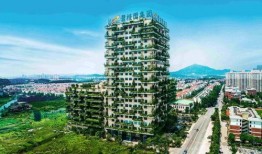 湄池碧桂园最新房价爆料,涨幅惊人，投资潜力无限！”