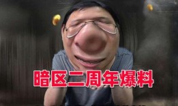 暗区117最新爆料,揭秘神秘任务背后的惊险历程