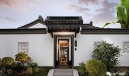 版纳桃李春风最新爆料,揭秘神秘爆料背后的精彩故事