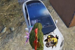 吃鸡车皮皮肤爆料最新,神秘设计引玩家热议