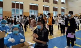 东安徐福集团最新爆料消息,最新项目动态与未来发展规划