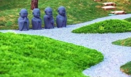 青年艾最新爆料解析,深度解析背后真相