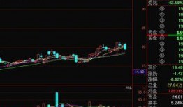 宁波新公司最新爆料,揭秘创新项目与未来发展规划