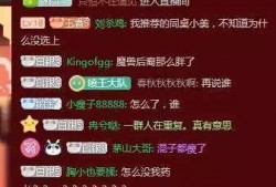 杀鸡最新爆料文案,揭秘幕后真相，带你走进神秘世界