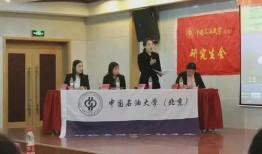 石油高管爆料视频最新,行业内幕与未来展望