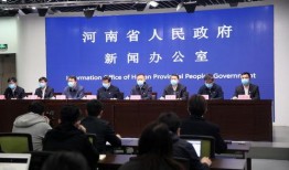 河南新冠爆料最新,疫情真相与防控措施全解析