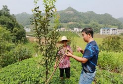 竹山农香最新爆料