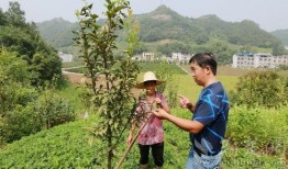 竹山农香最新爆料