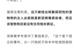 香港新冠状病毒最新爆料,疫情动态与防控措施全解析