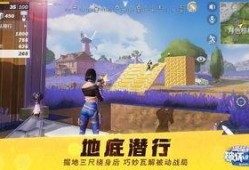 堡垒前线手游最新爆料,神秘英雄登场，战场格局再起风云！