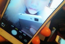 刘老大爆料视频大全最新