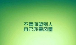 励志新闻爆料大全最新,励志新闻爆料大全最新力作