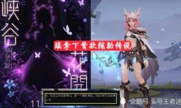 元瑶新皮肤最新爆料视频,炫彩光影，仙气缭绕