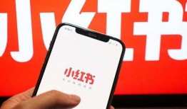 小红书最新爆料信息,明星私生活大揭秘，幕后故事令人震惊