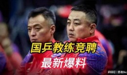 国乒最新爆料,揭秘赛场背后的精彩瞬间与幕后故事