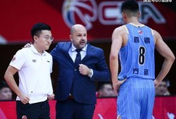 男篮国手爆料最新消息,揭秘赛场幕后故事与备战秘籍”